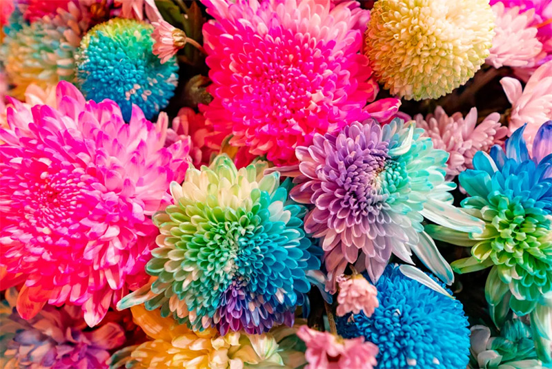 1760627869451561.jpg 640-(8).jpg