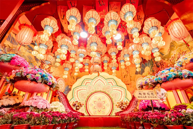 1760627886280437.jpg 640-(10).jpg