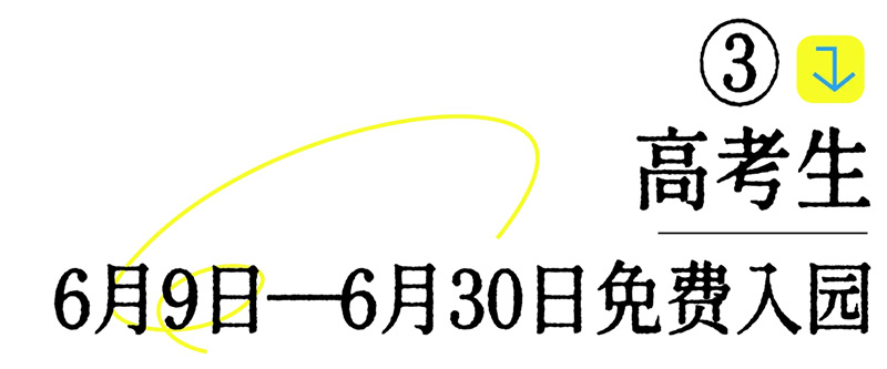 640-(13).jpg