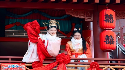 王员外招婿