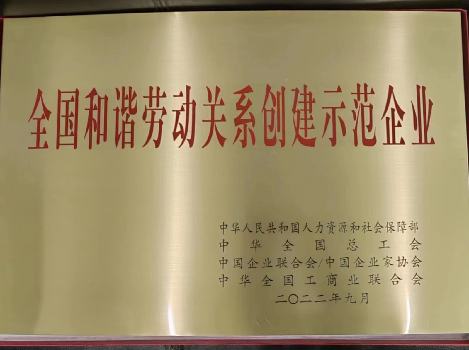 1683966589759767.jpg 1683966589759767.jpg