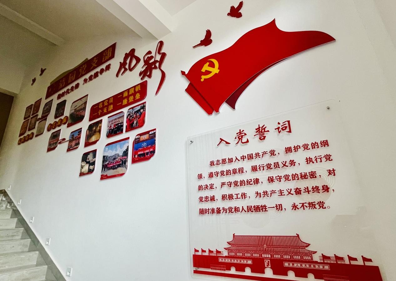 1754556445899012.jpg g.jpg